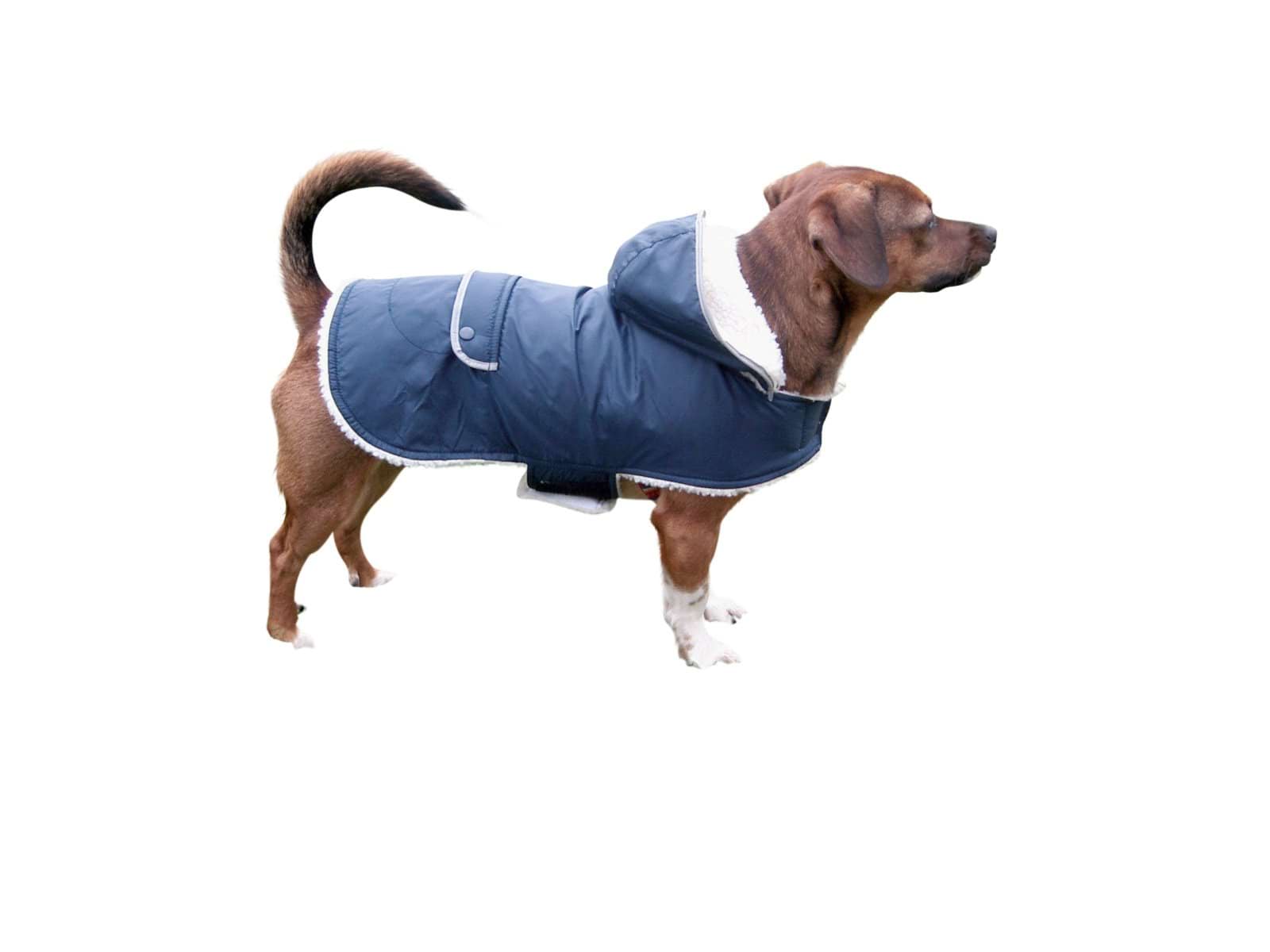 Dog coat Teddy, 55 cm, Kerbl