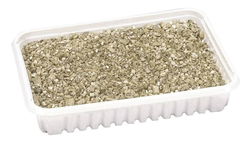 Cat grass seeds, 100 g, Kerbl