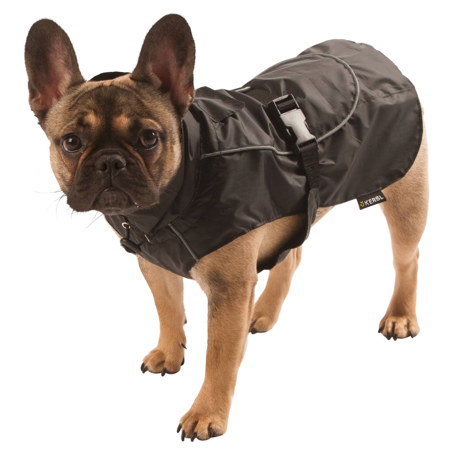 Dog raincoat Forks, 45 cm, size L, Kerbl