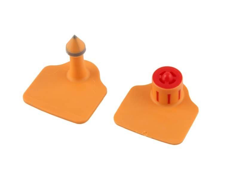 Ear tag Flexoplus L, male and female, orange, blank