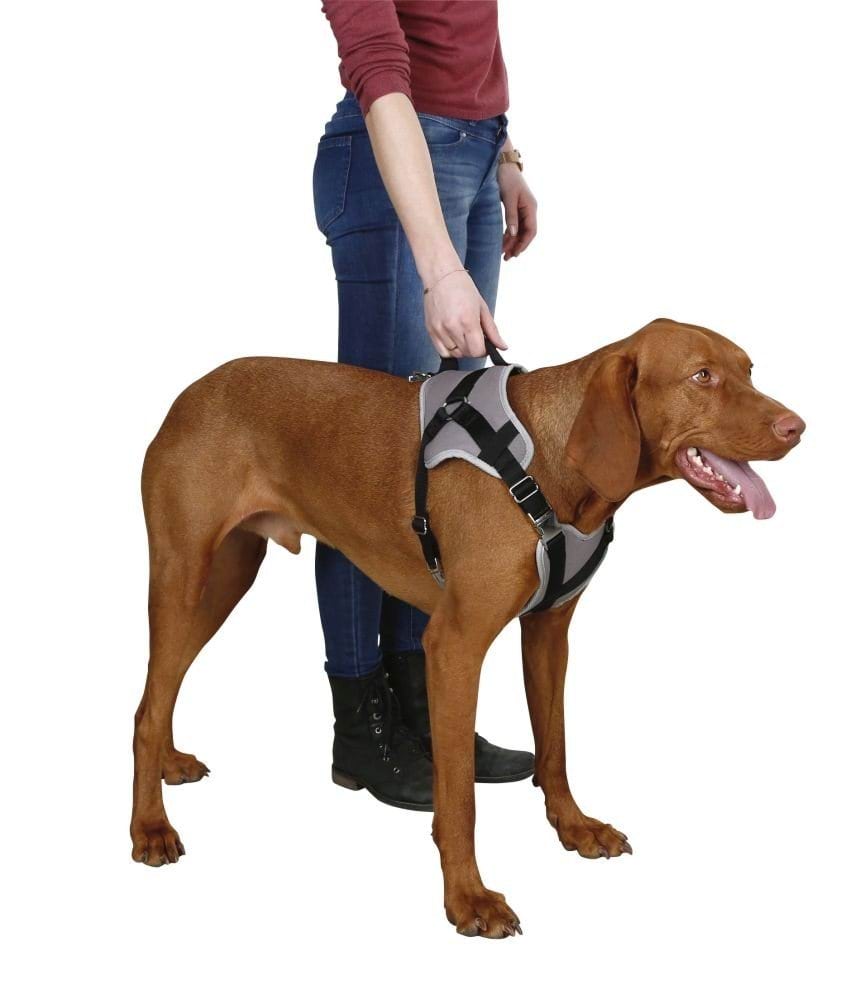 Dog car safety harness Travel Protect, length 43 – 52 cm, Kerbl