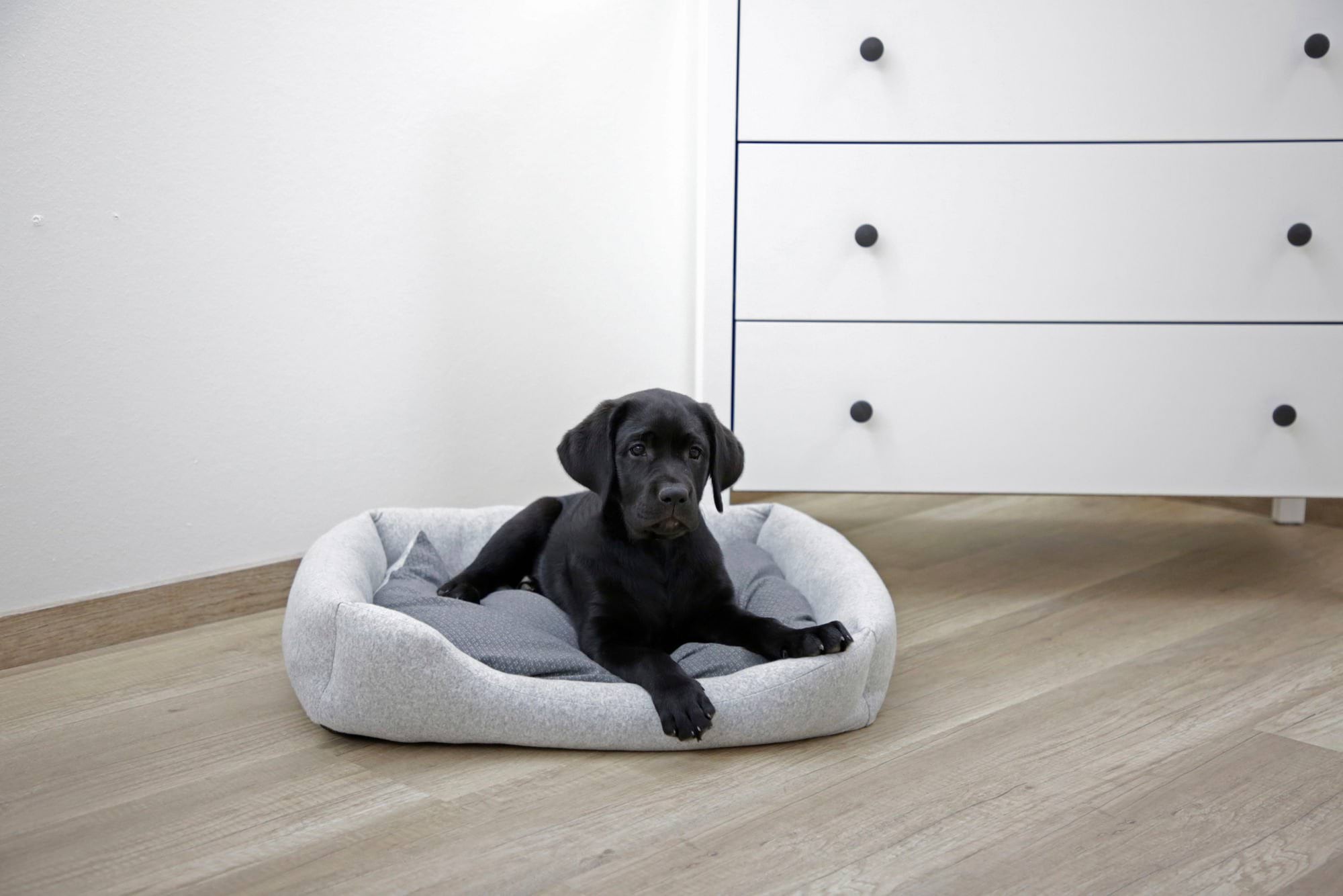 Snugly bed for dogs Graphene, grey, 90 x 69 x 15 cm, Kerbl