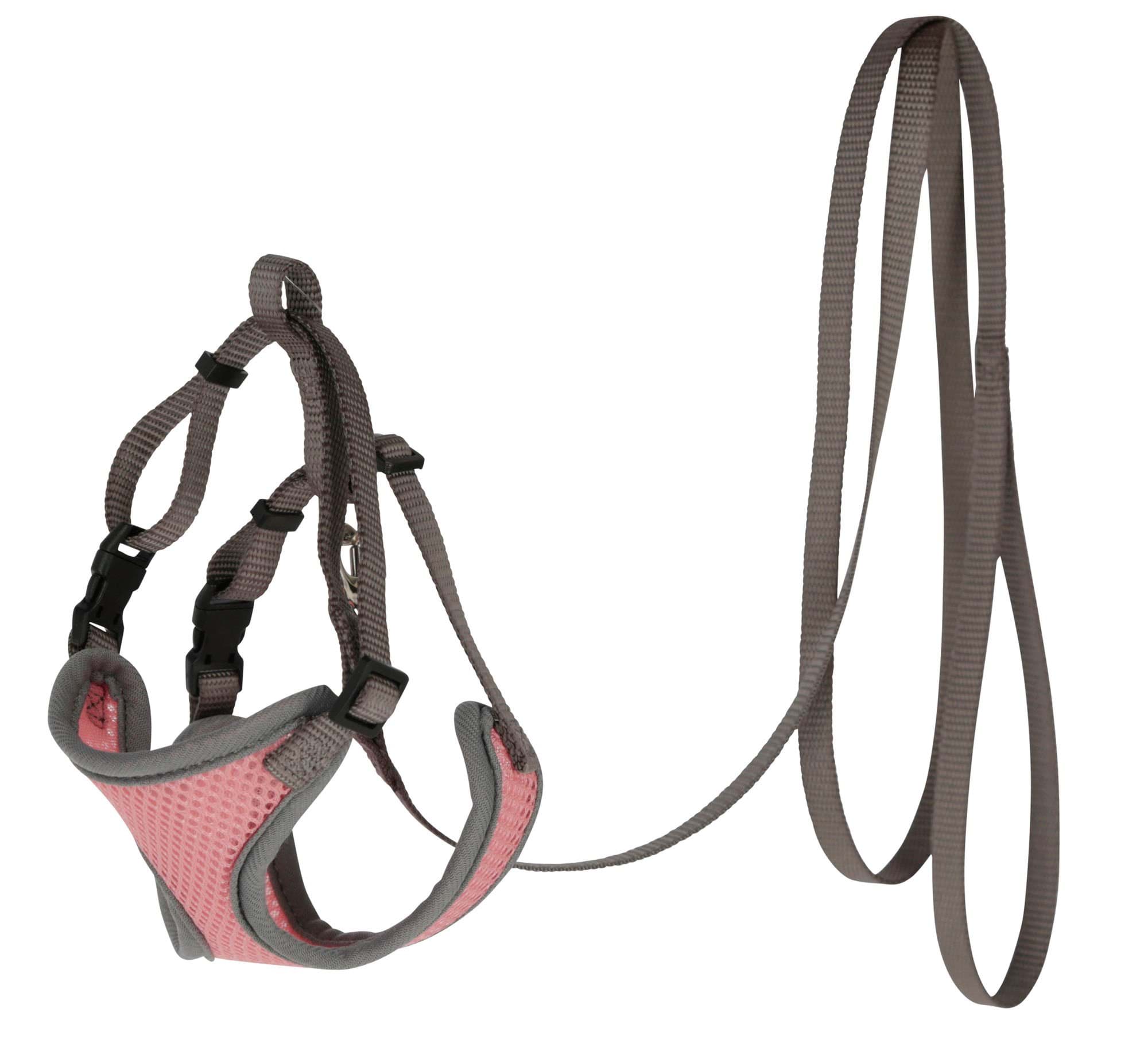 Cat harness with leash, 120 cm x 10 mm, pink, Kerbl