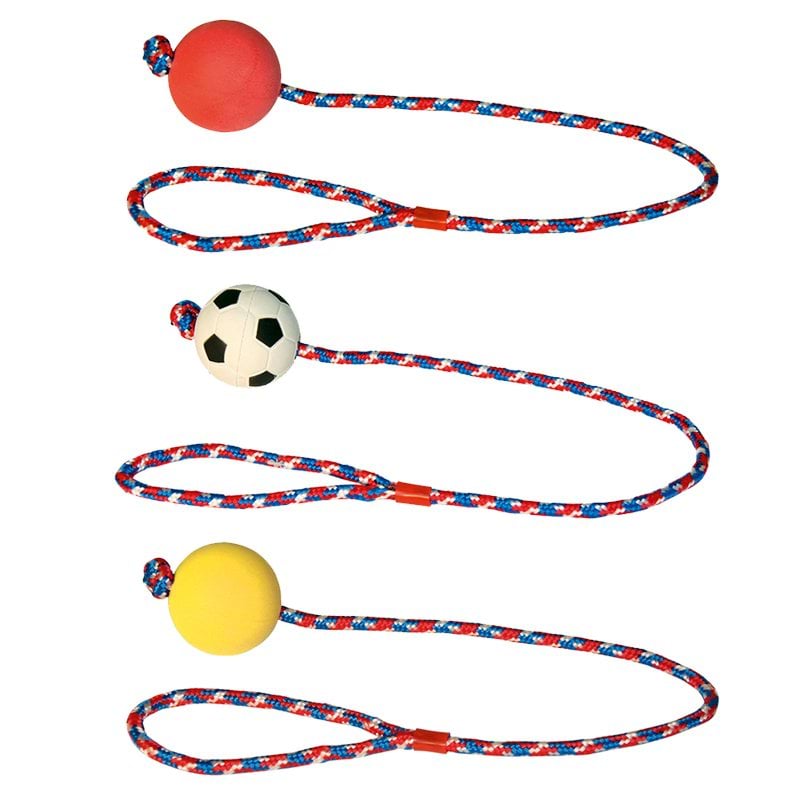 Dog toy, ball on a rope, 6 cm/60 cm, Kerbl