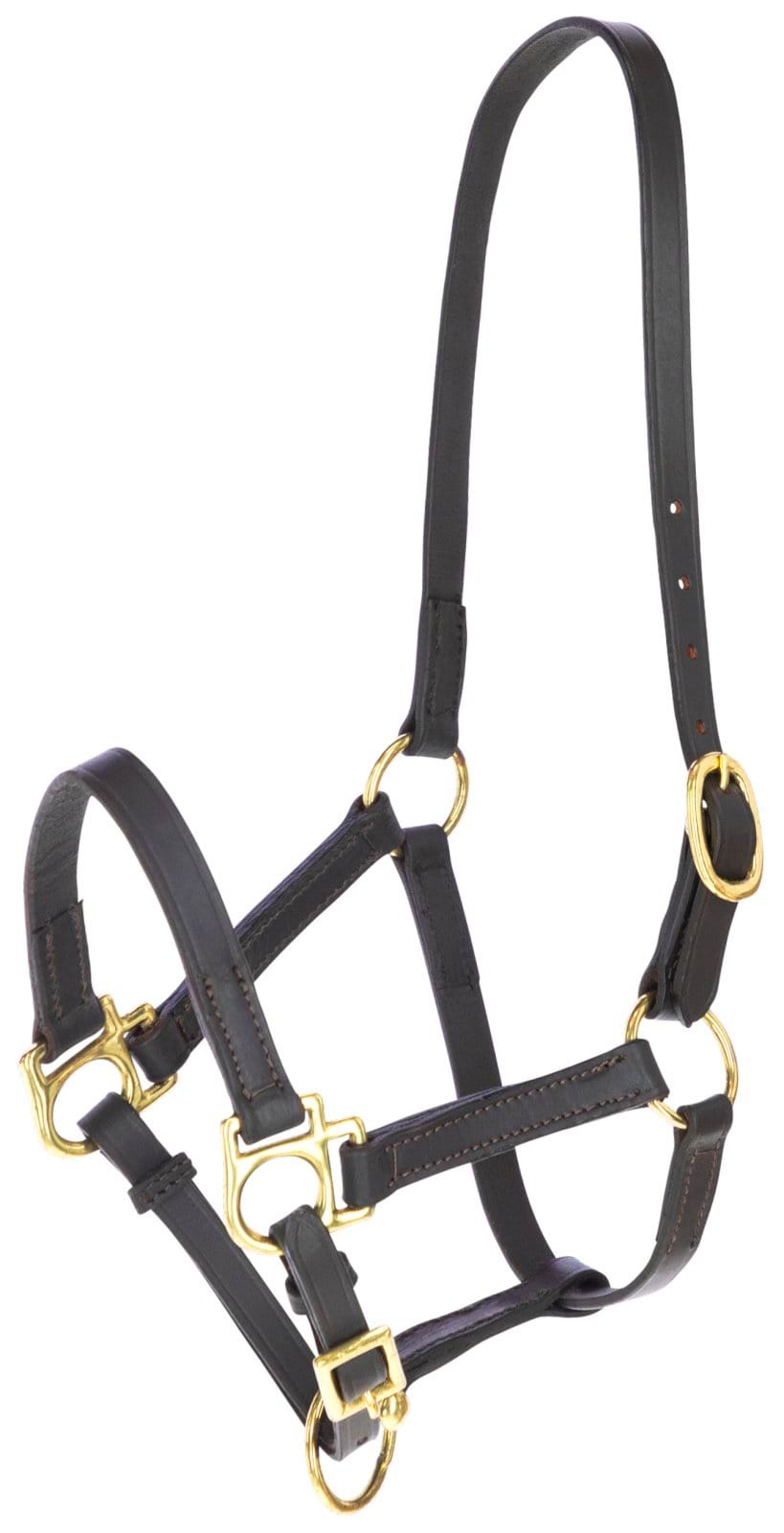 Foal Halter Eco Leather brown