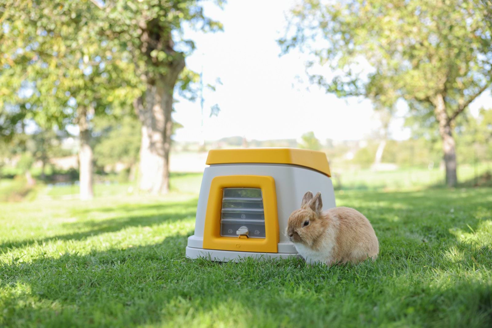 Rabbit House Bunny Base complete set