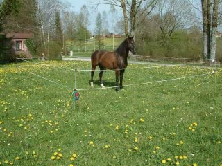 Portable fence kit f. trekking complete with energizer B40