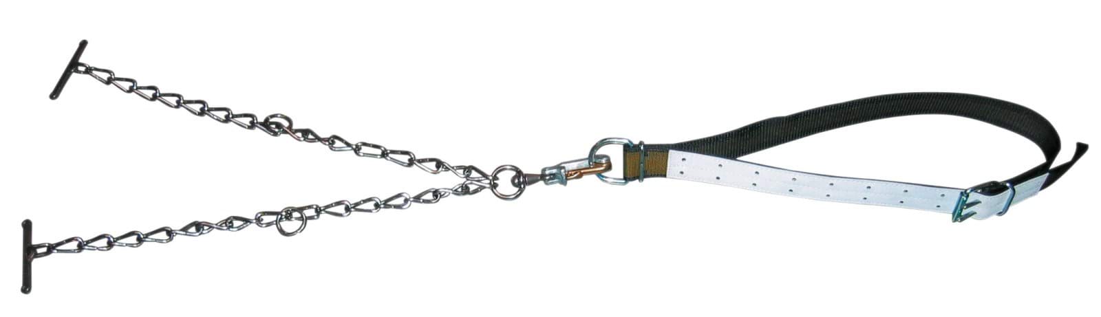 Binding for bulls 170x7cm,  with double chain, safety snap