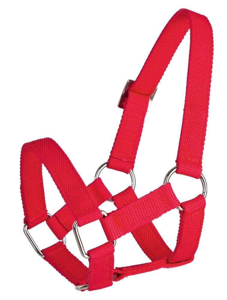 Sheep halter, polypropylene, red
