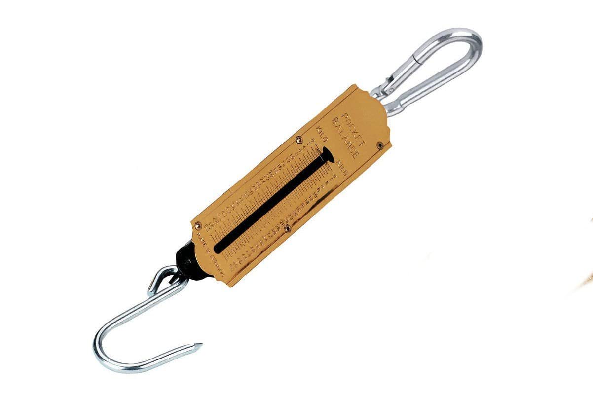 Spring scale 50 kg