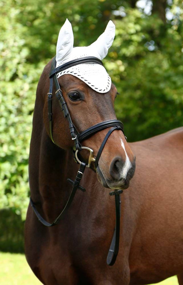Fly hood, white, with elastic ears