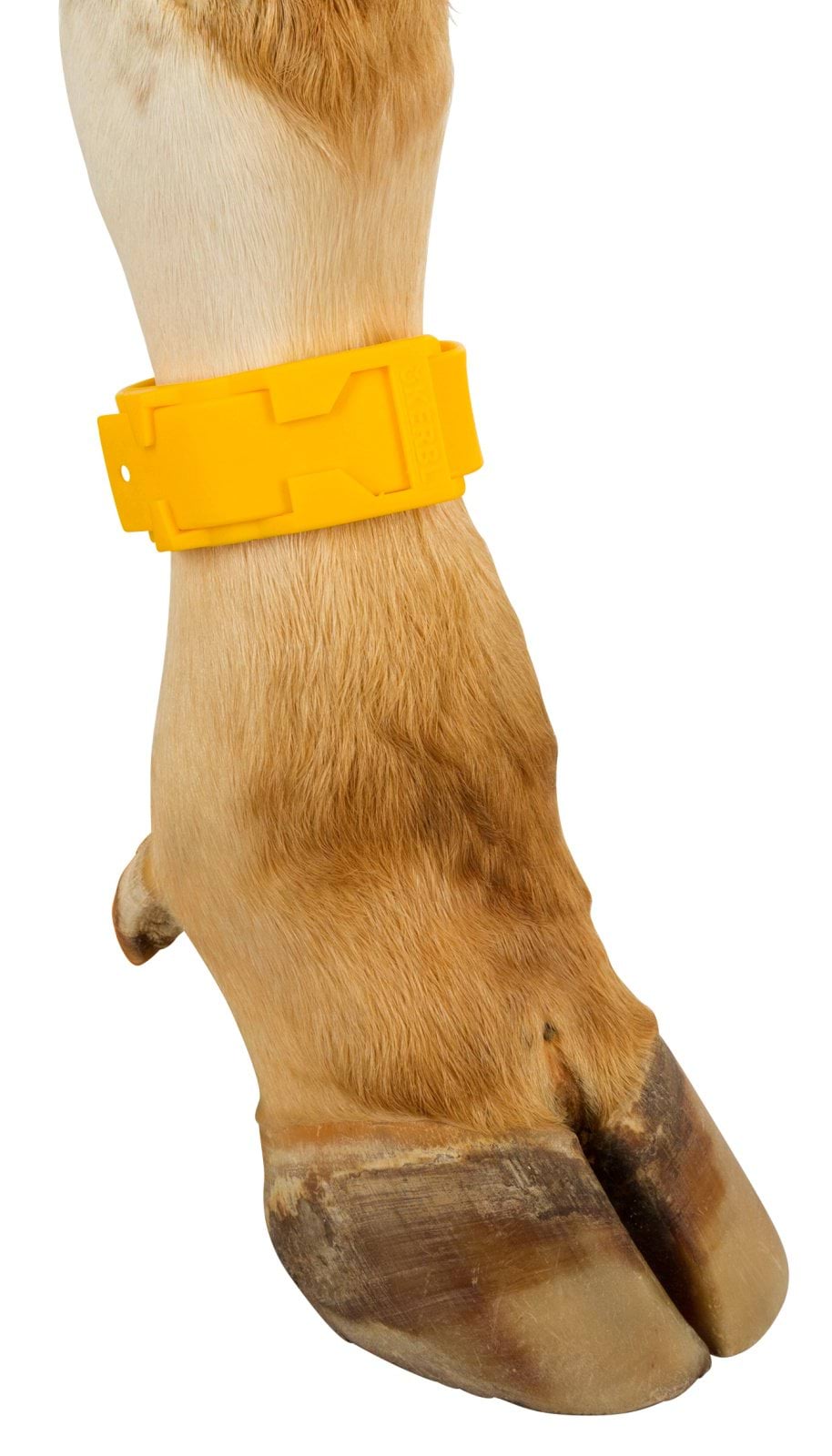 Ankle straps, plastic,  37 cm long, yellow