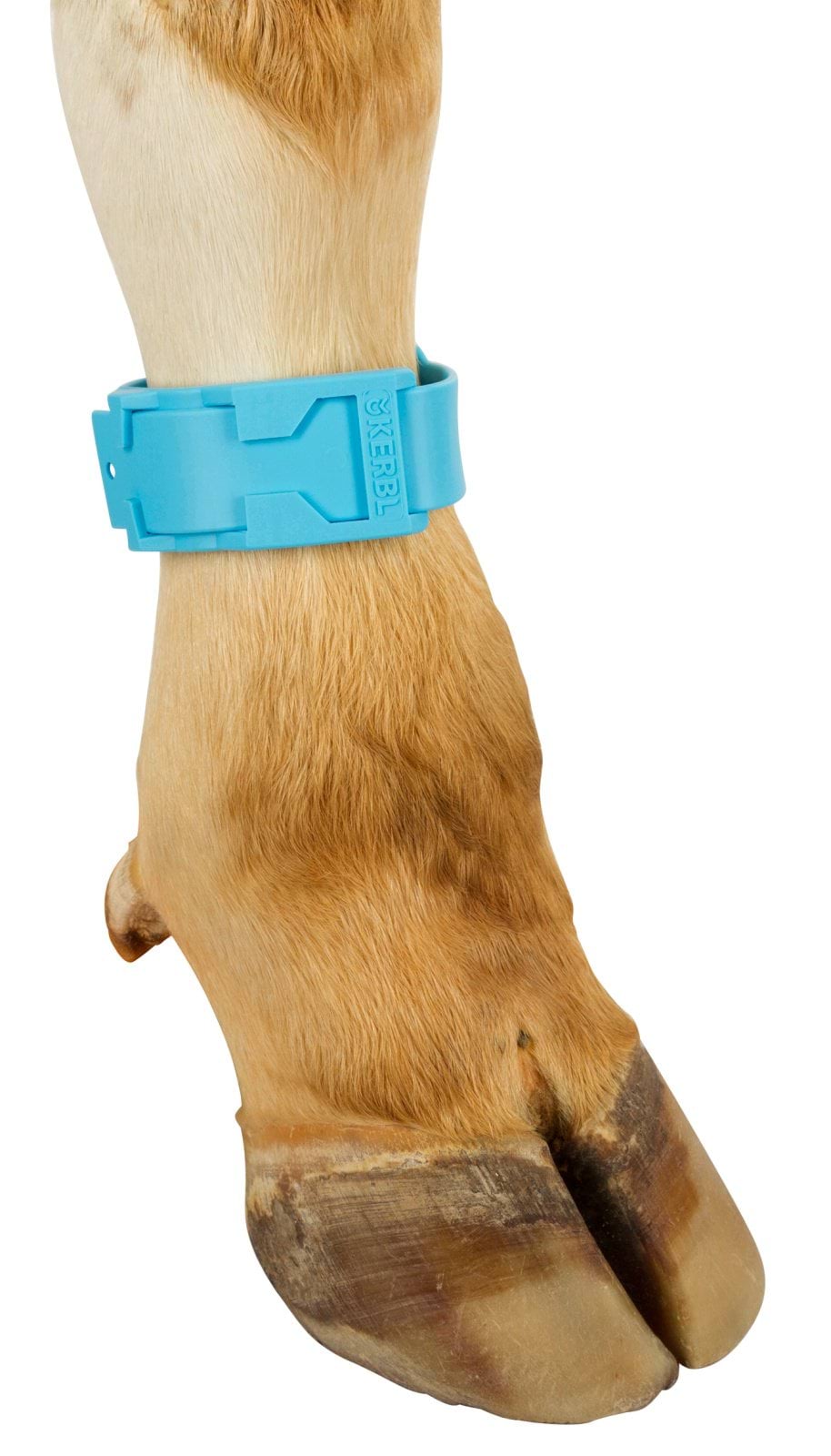 Ankle straps, plastic,  37 cm long, blue