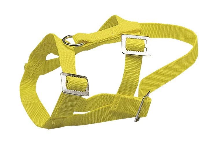 Sheep and ram halter, nylon yellow
