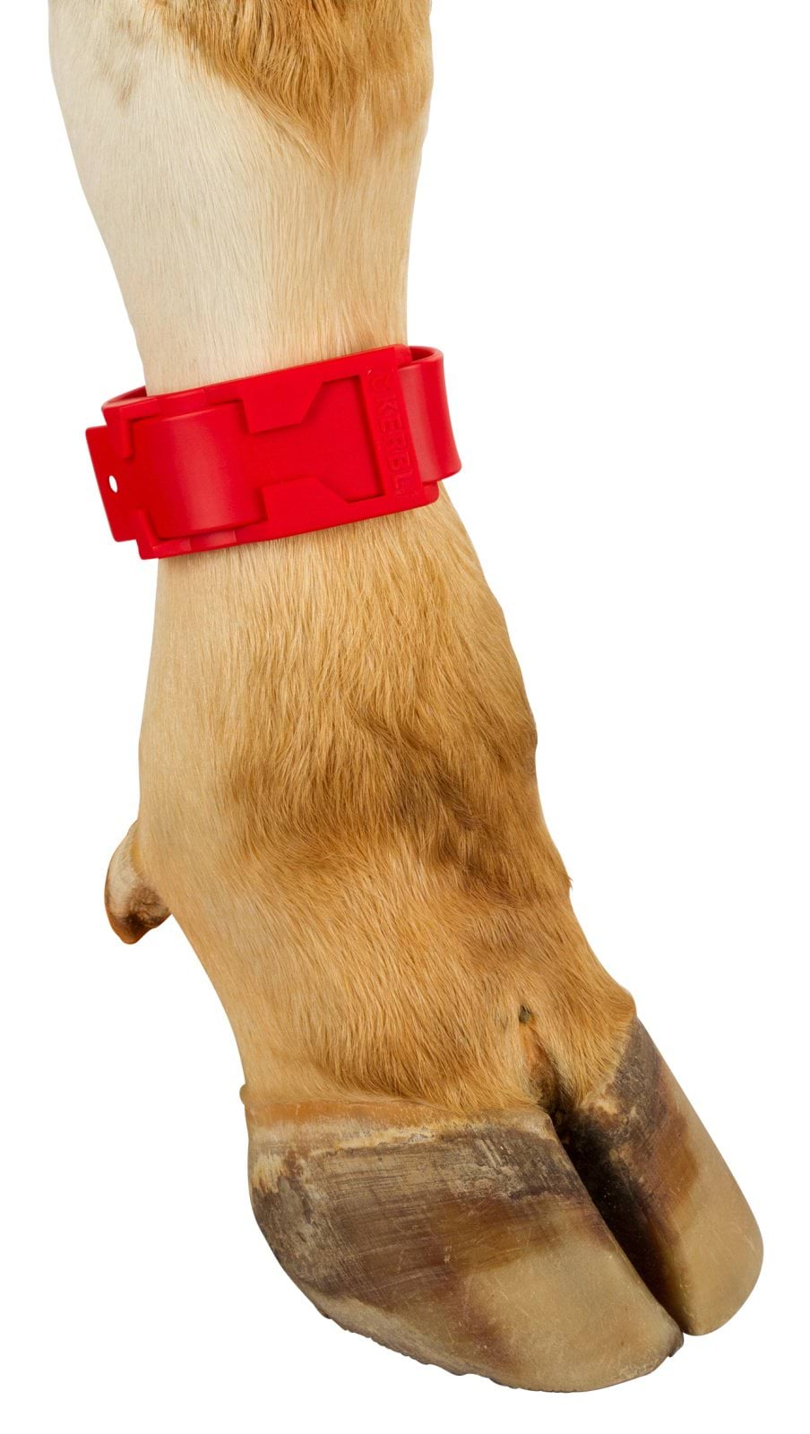 Ankle straps, plastic,  37 cm long, red