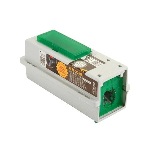 Mouse trap with 1 inlet