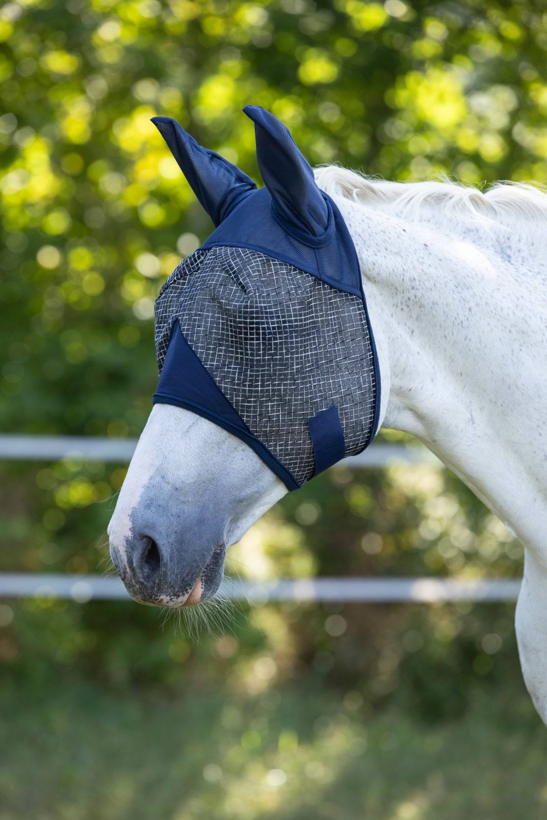 Insect mask for horses with ears and UV filter, navy blue, Covalliero