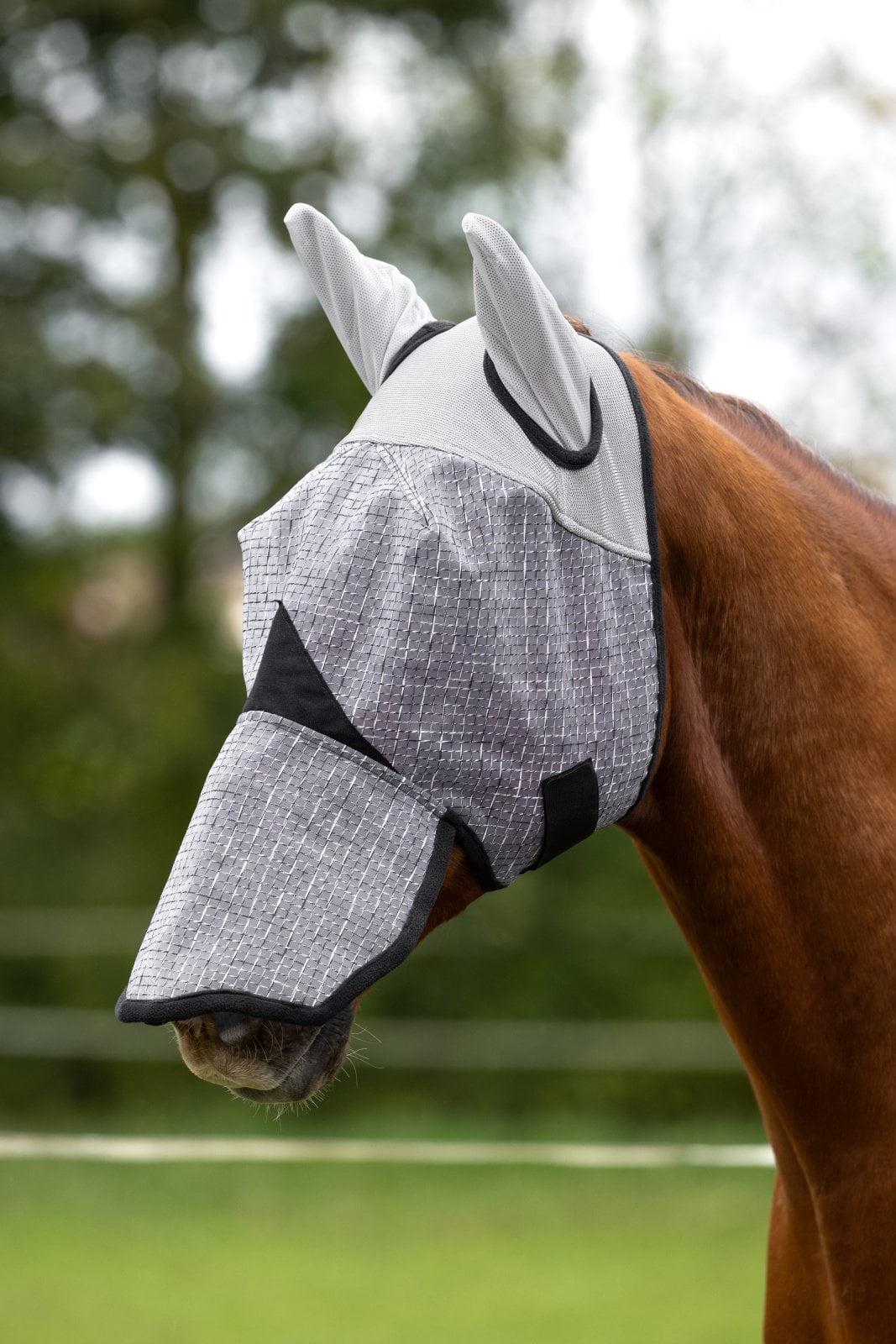 Insect mask for horses with UV protection and nostril cover, light gray, Covalliero