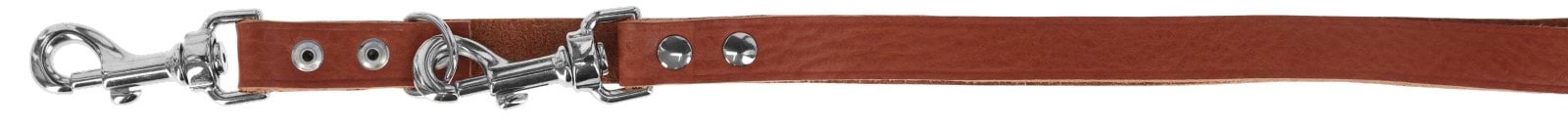 Leash Tuscany, brown, 20 mm, 200 cm