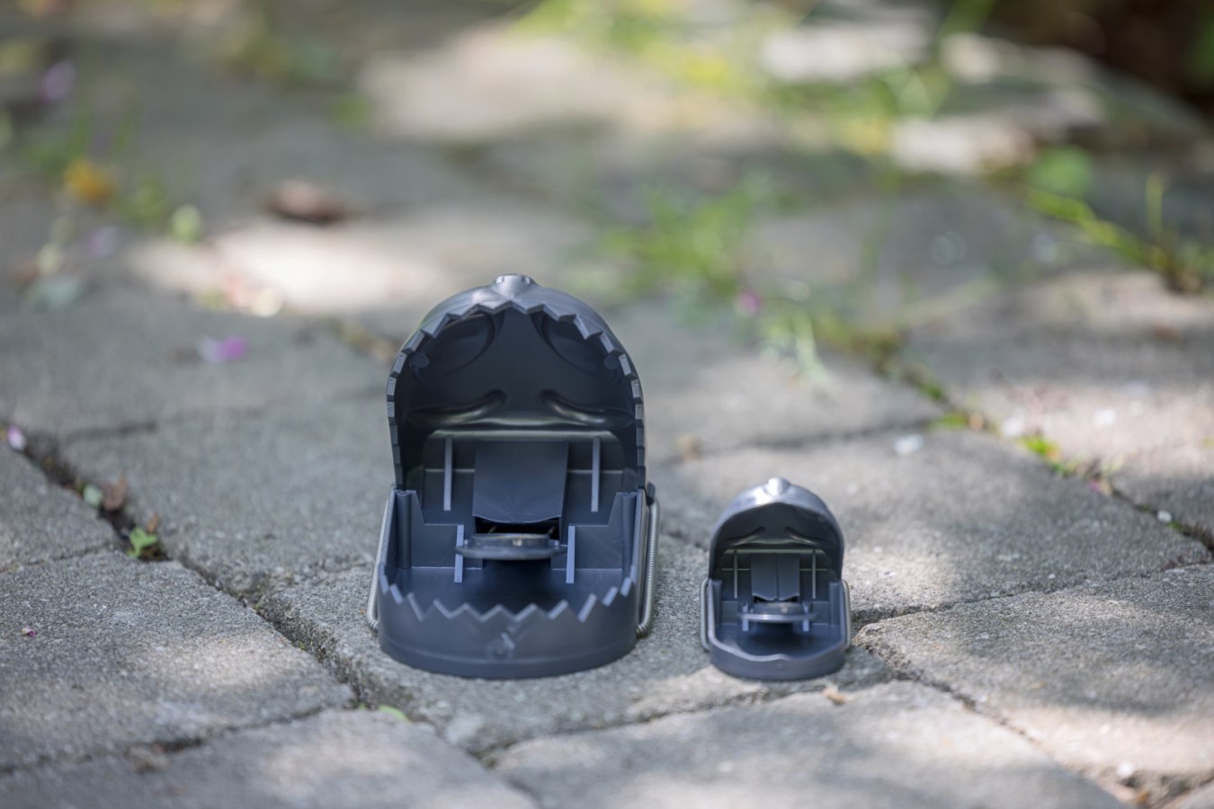RatStop Rat Trap, Kerbl