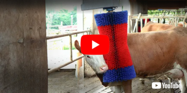 Watch HAPPYCOW Flexi Swing video