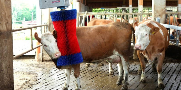 HAPPYCOW Flexi Swing