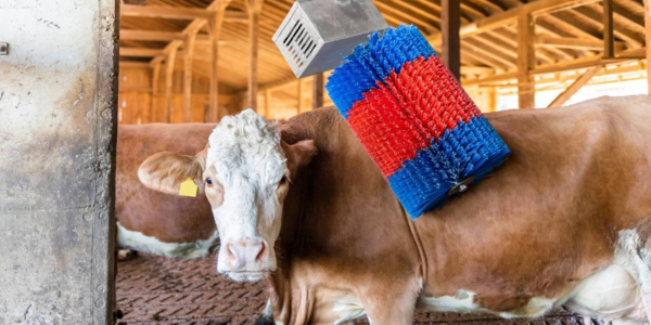 HAPPYCOW MidiSwing