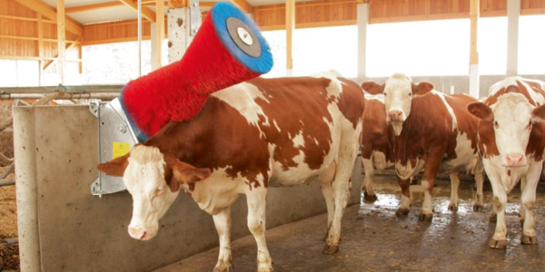 HAPPYCOW Uno