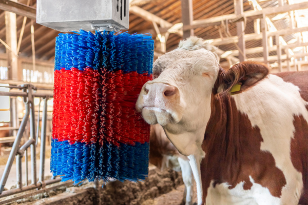 KERBL Cattle Brushes
