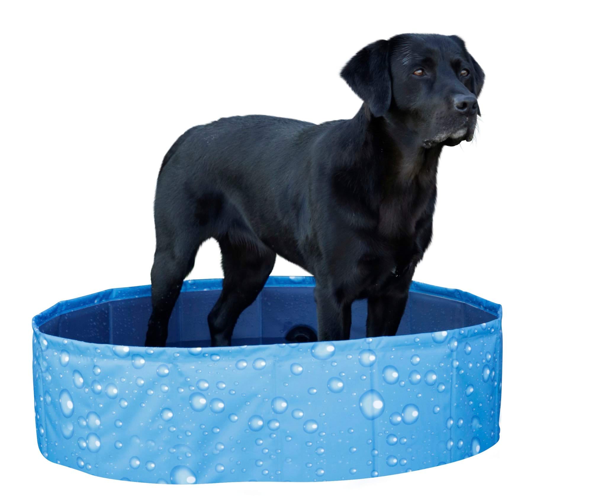 Бассейн для собак Bubble, 80 х 20 см, 100 л, синий, Kerbl