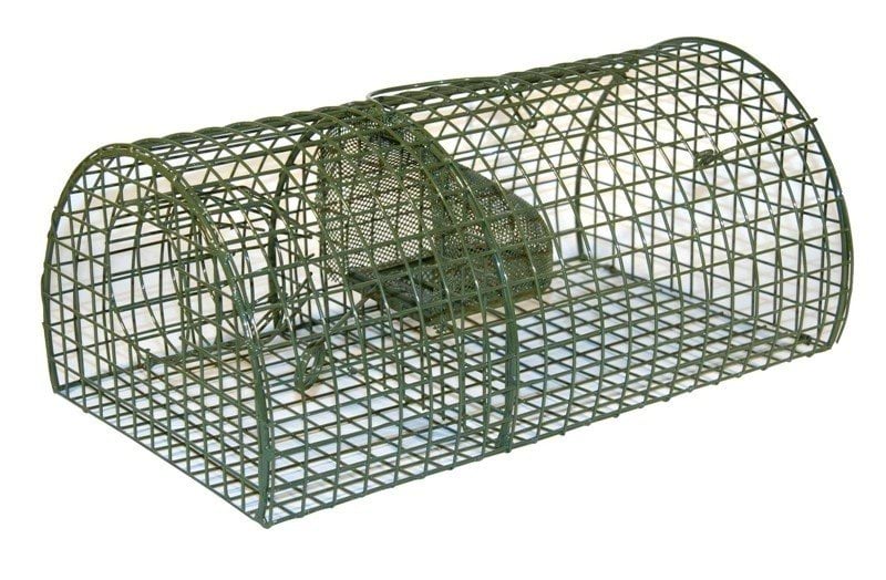Ловушка для крыс Alive MultiRat, полукруглая, 40 х 24 х 18 см, Kerbl