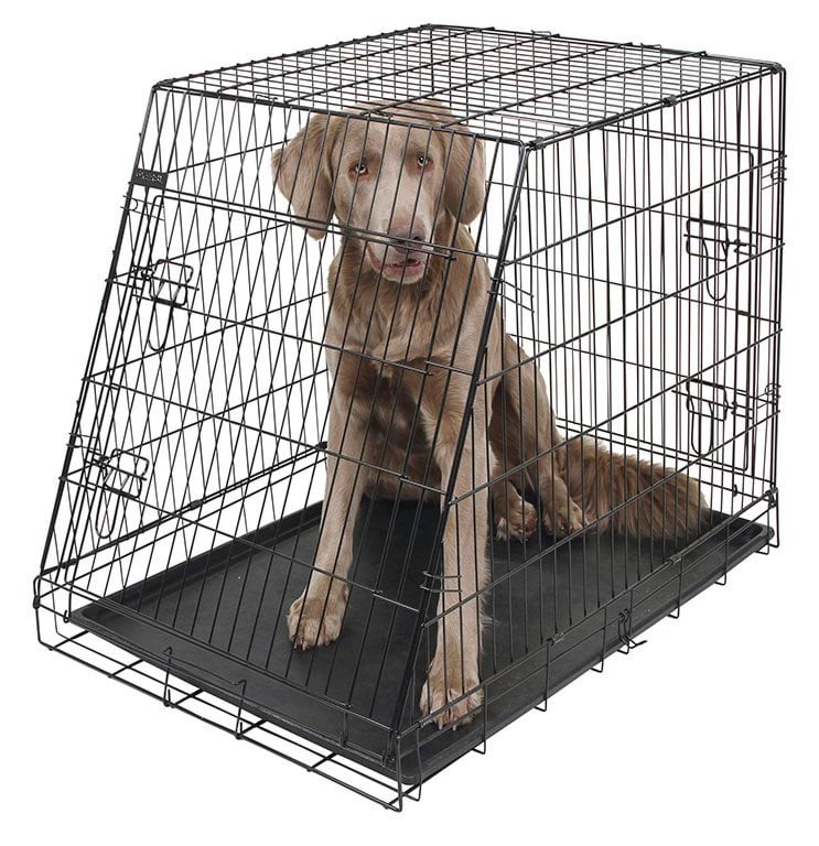 Клітка для собак, з нахилом, 75 x 52 x 61 см, 2 двері, чорна, Kerbl